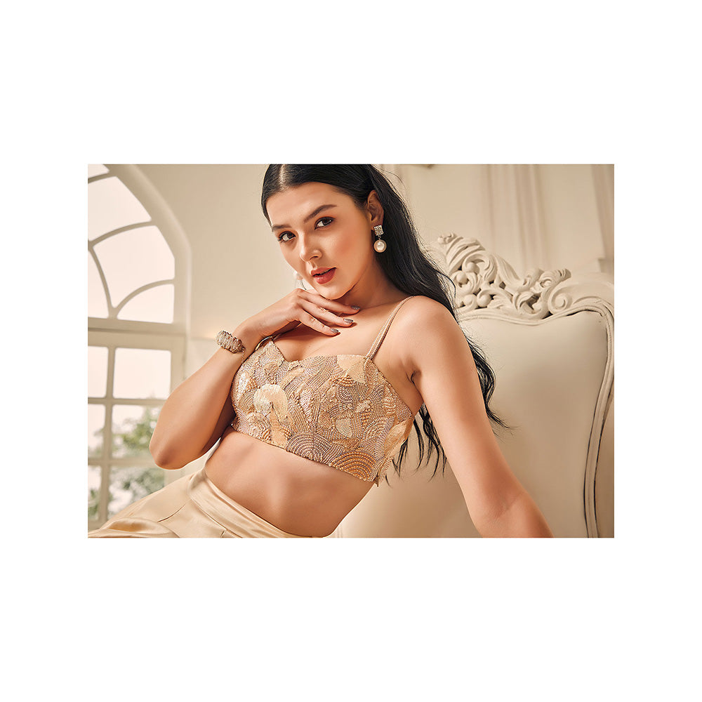 Shriya Dahlia Beige Box Pleat Skirt with Embroidered Bustier (Set of 2)