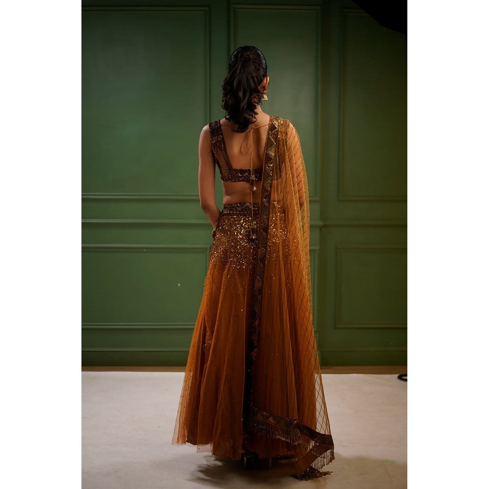 Label Simran Kochher Bold Bronze Beauty Lehenga with Blouse and Dupatta (Set of 3)