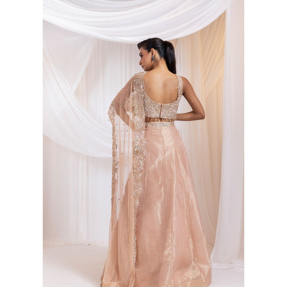 SMRITI Pink Lehenga with Embroidered Blouse and Detachable Dupatta,