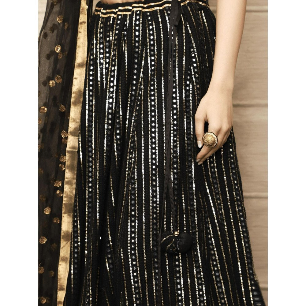 Spring Soul Black Embroidered Lehenga with Blouse and Dupatta (Set of 3)