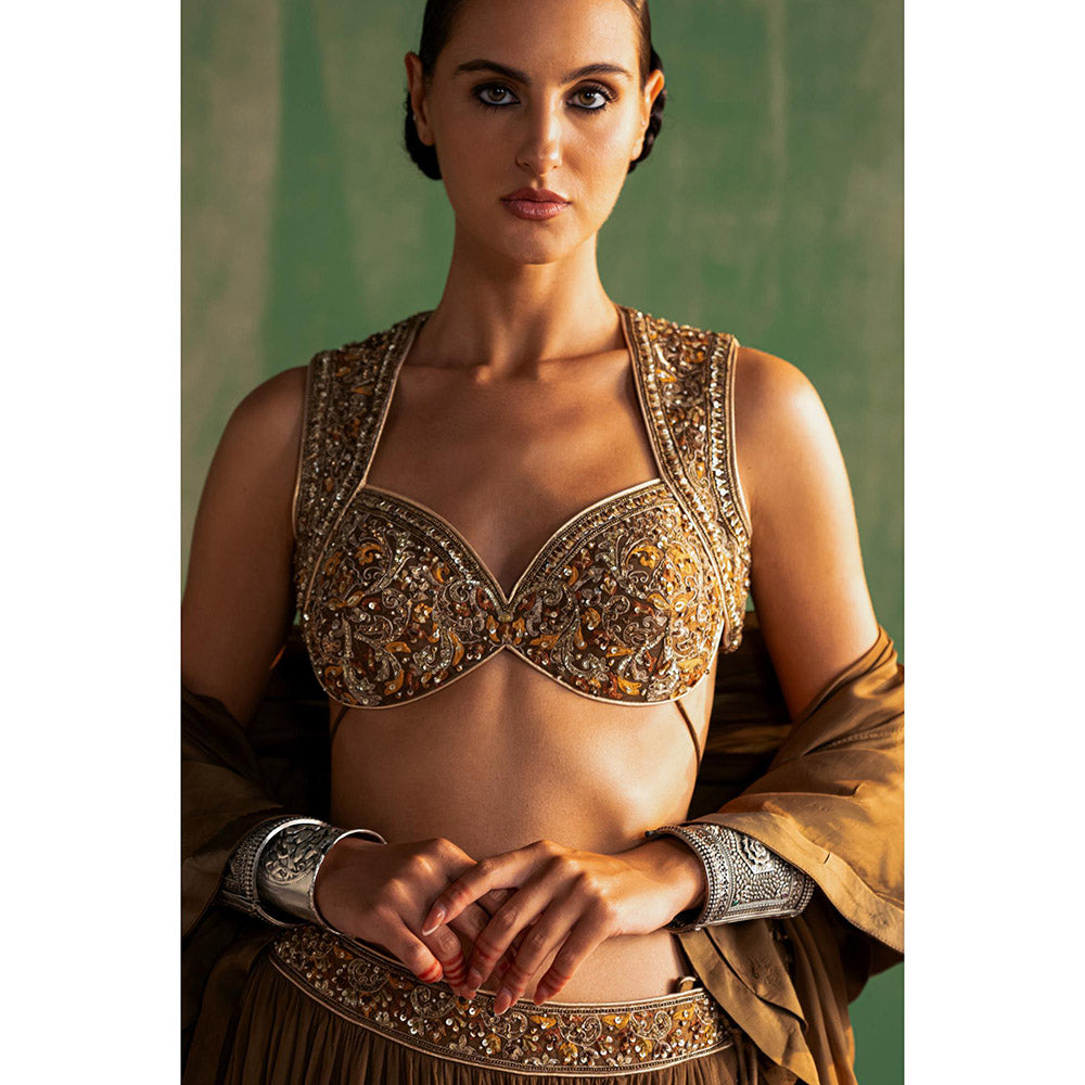 STUDIO BAGECHAA Bhumika Brown Embellished Lehenga with Blouse and Dupatta (Set of 3)