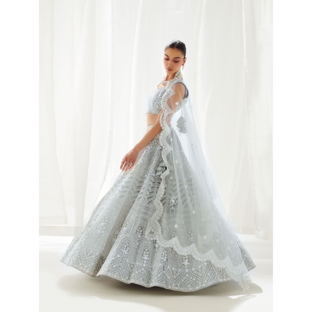 SUHINO Grey Organza Lehenga Blouse & Dupatta (Set of 3)