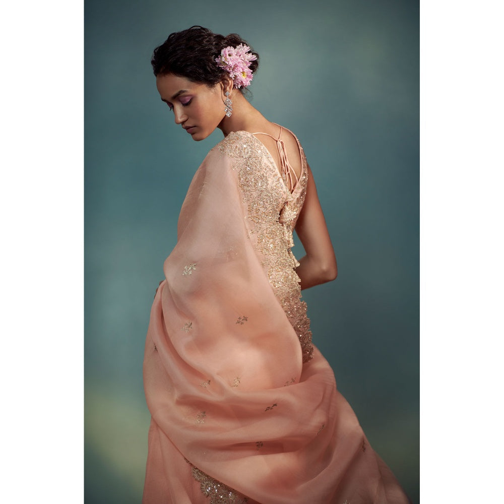 SUHINO Peach Organza Saree with Blouse & Petticoat with Stitched Blouse