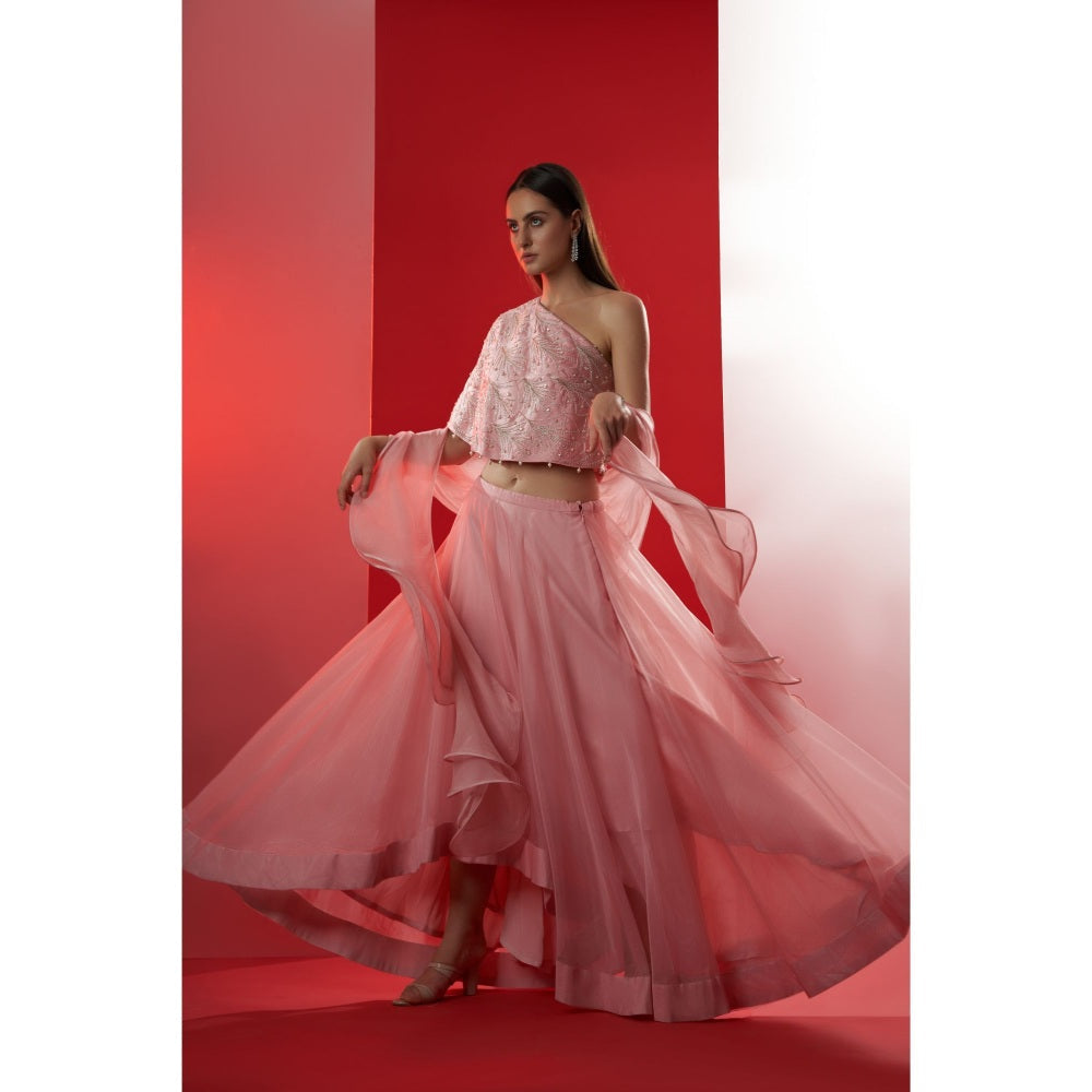 Suruchi Parakh Womens Pink Embellished Blouse with Lehenga and Dupatta (Set of 3)