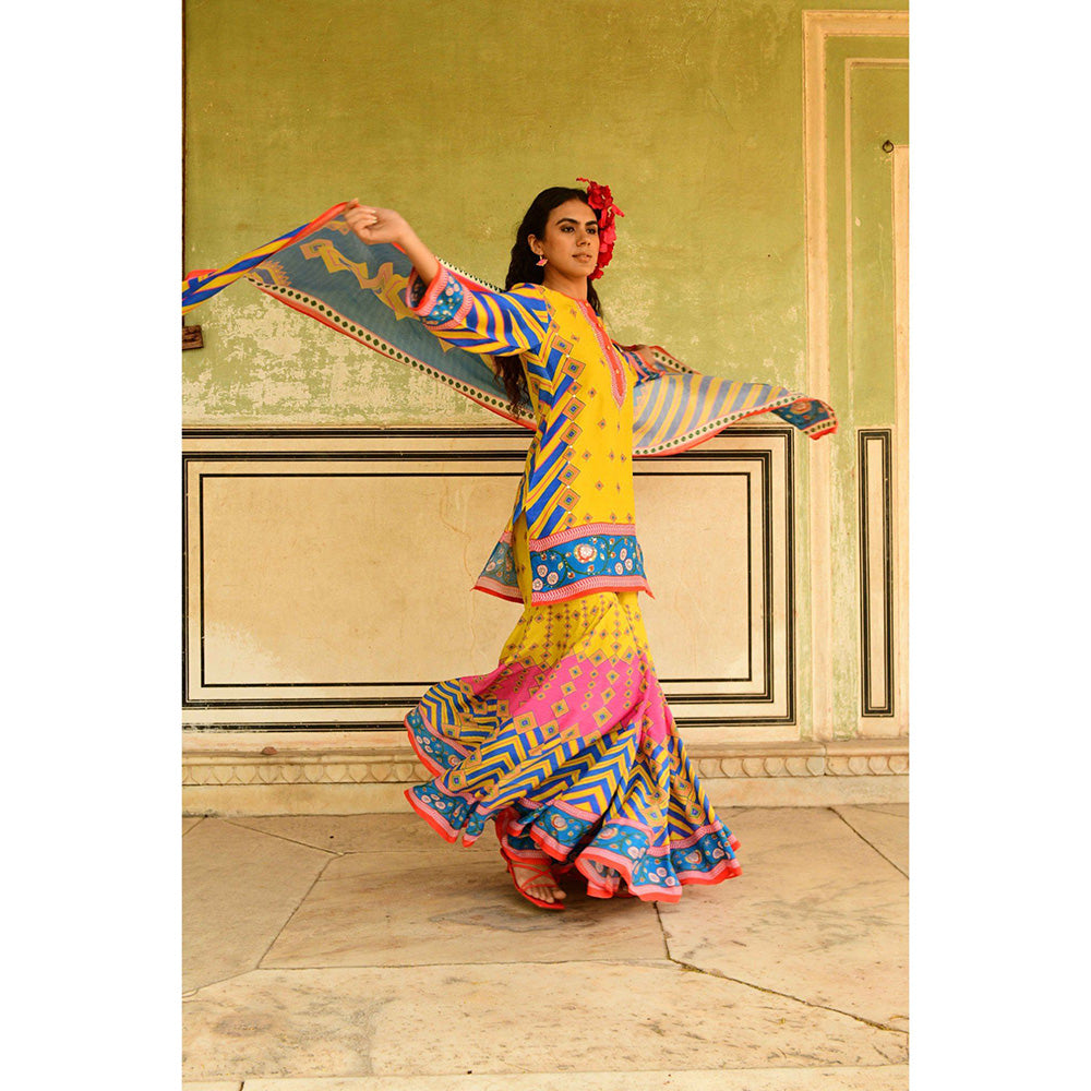 Swati Vijaivargie Multi Laila Kurti with Sharara & Dupatta (Set of 3)