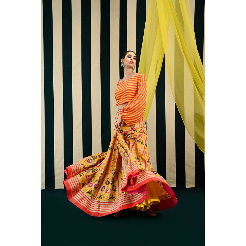 Swati Vijaivargie Gulmohar Tarana Crop Top & Skirt (Set of 2)