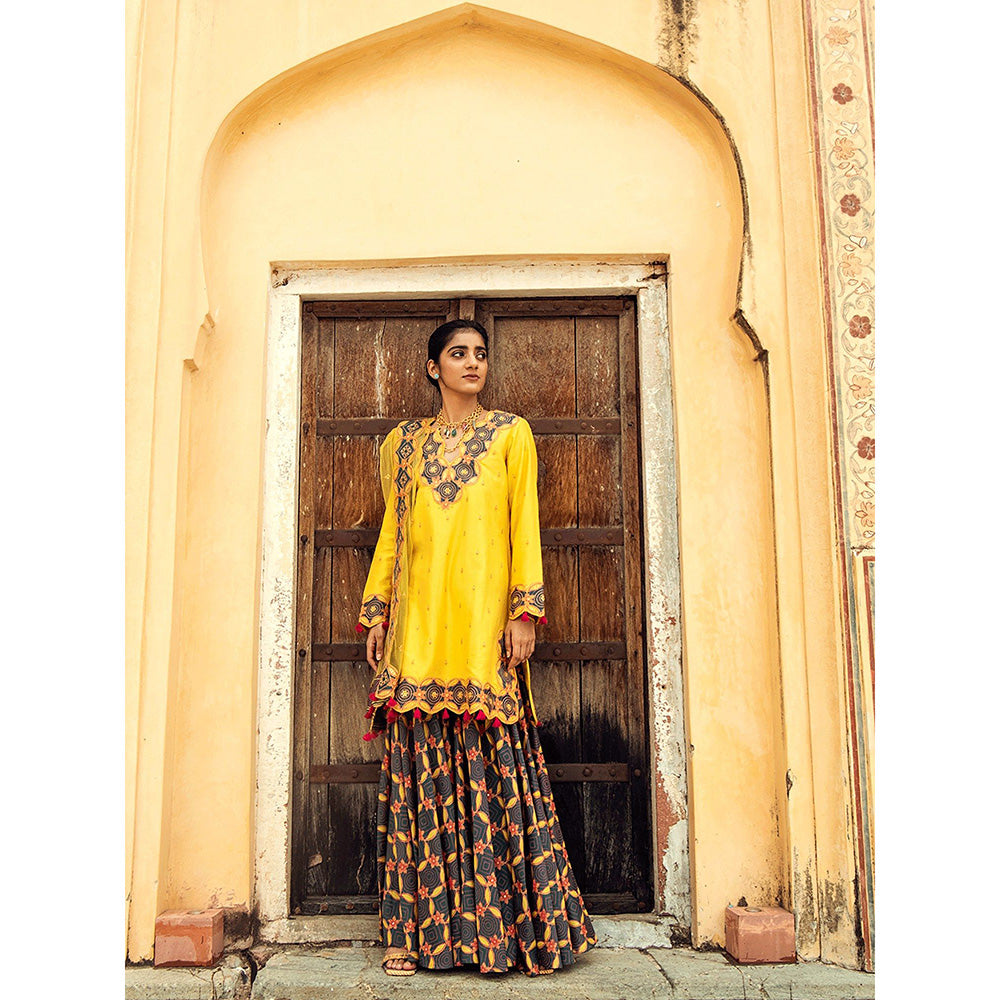 Swati Vijaivargie Doongri Kurti with Chandramahal Sharara and Barmer Dupatta (Set of 3)