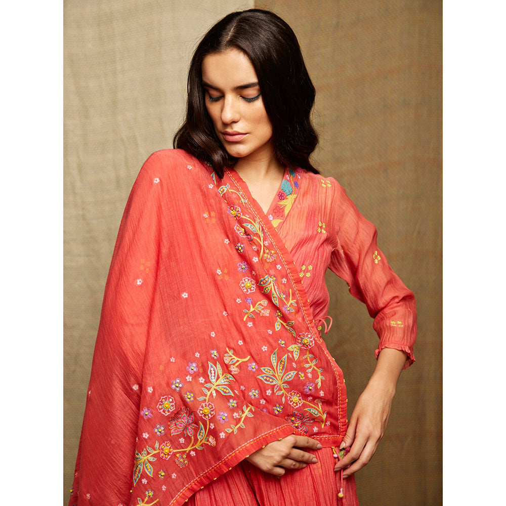 Swati Vijaivargie Rose Red Embroidered Scarf