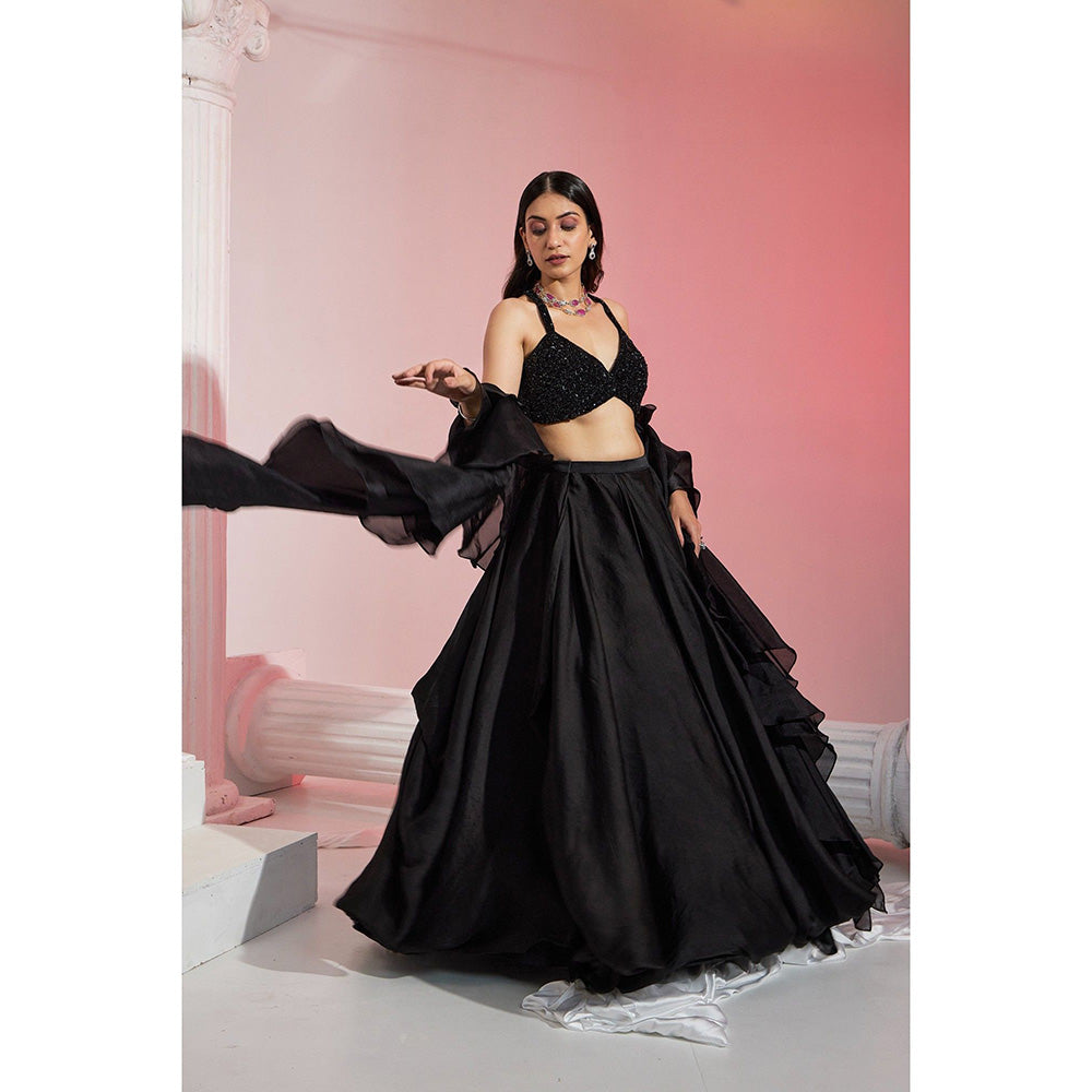 Swati Wadhwani Inayat Crystal Beaded Blouse with Lehenga and Dupatta (Set of 3)