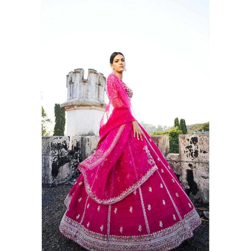 SWATHI VELDANDI Pink Organza Lehenga Choli and Dupatta With Cutdana Embroidery (Set of 3)
