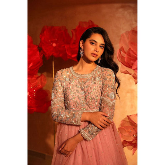 SWATHI VELDANDI Ornate Onion Pink Embroidered Net Gown