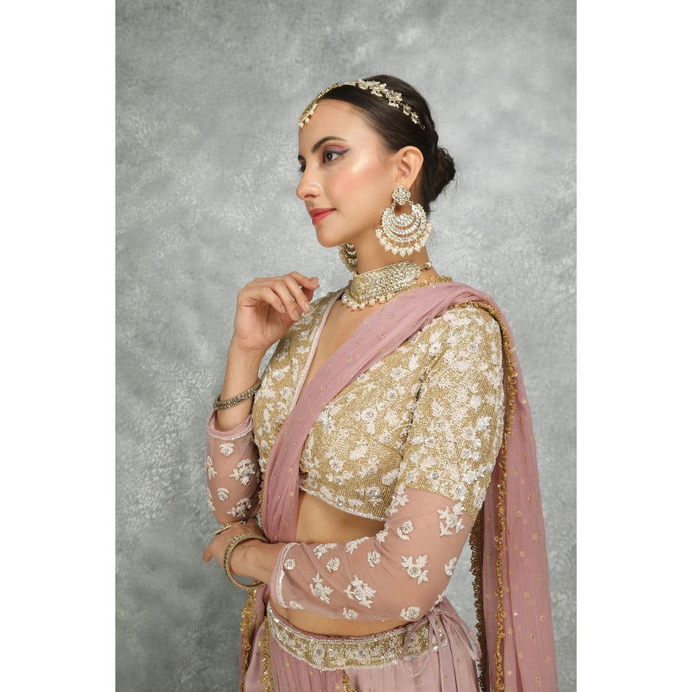 Tanu Malhotra Pink Net & Chiffon Draped Fish-Cut Skirt Saree with Stitched Blouse
