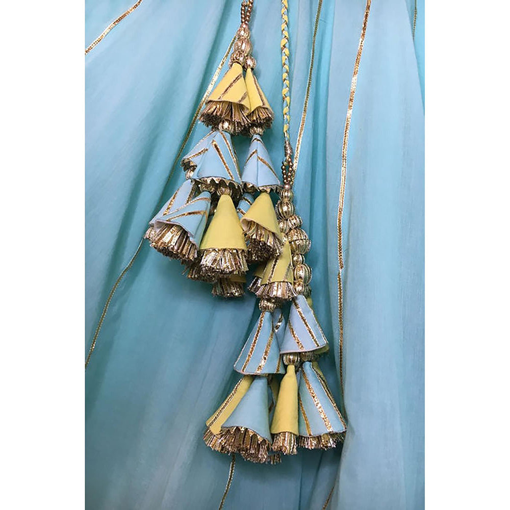 Taraasi Hayat' Blue Mulmul Cotton Kalidar Ghaghara Skirt