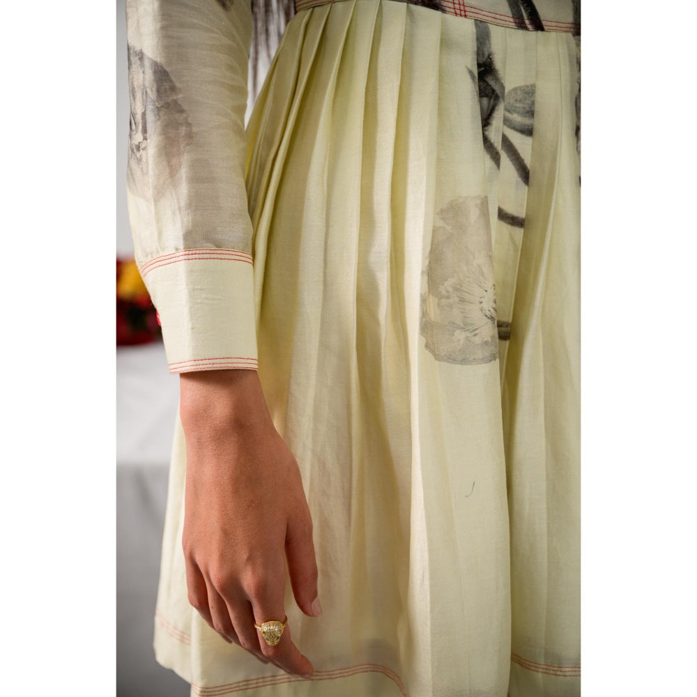 The Dramebaaz Company Amour Pleated Printed Dress