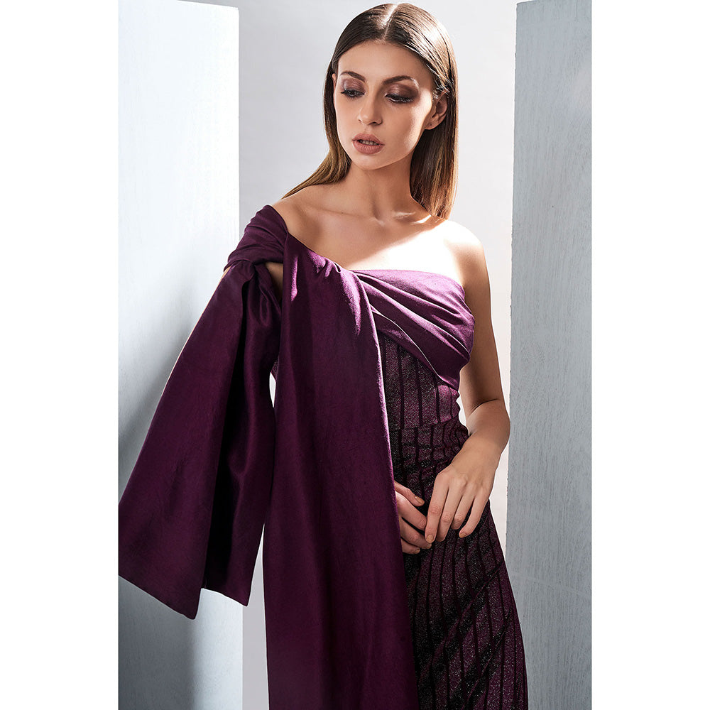 TISHARTH BY SHIVANI Purple Stretch Long Dress