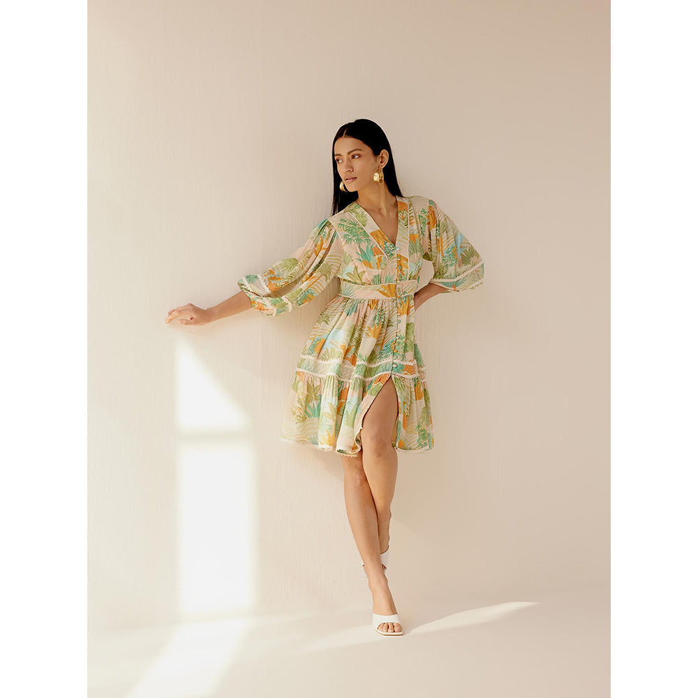 TRISARA Multicoloured Palm Knee Length Dress