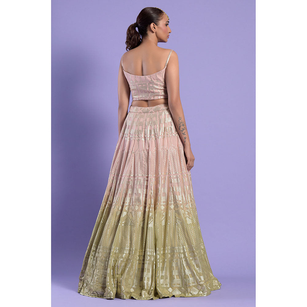 "Two Sisters" by Gyans Nude Pink Ombre Organza Blouse & Lehenga with Dupatta (Set of 3)
