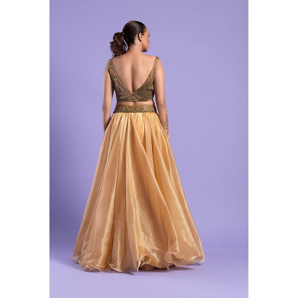 "Two Sisters" by Gyans Gold Organza Embroidered Sleeveless Lehenga With Blouse And Dupatta