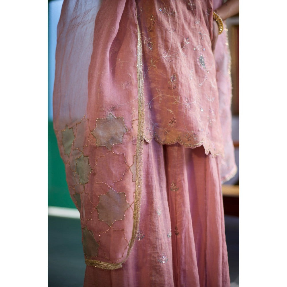 Vashisht Guru Dutt Pink Tara Kurta Sharara and Dupatta (Set of 3)