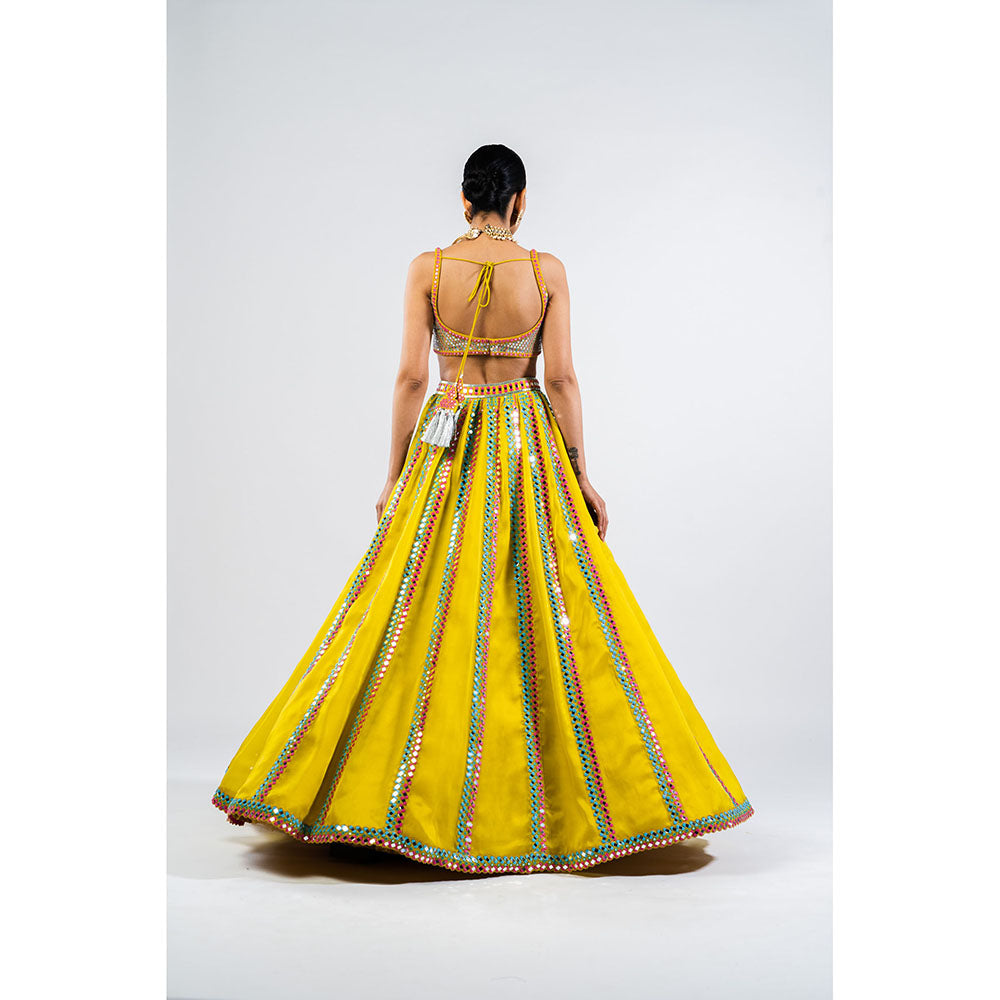 Vvani by Vani Vats Moss Green Mirror Seam Lehenga & Dupatta with Metallic Blouse (Set of 3)