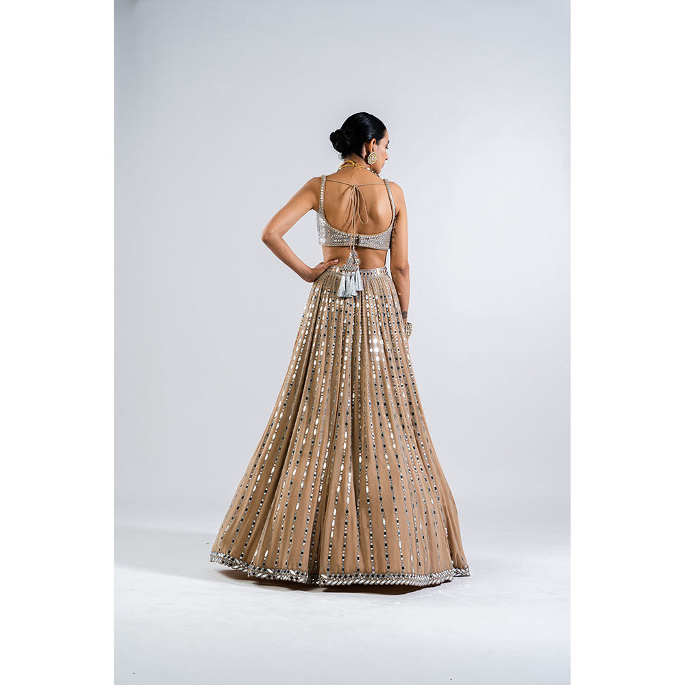Vvani by Vani Vats Beige Linear Drop Lehenga with Metallic Blouse & Dupatta (Set of 3)