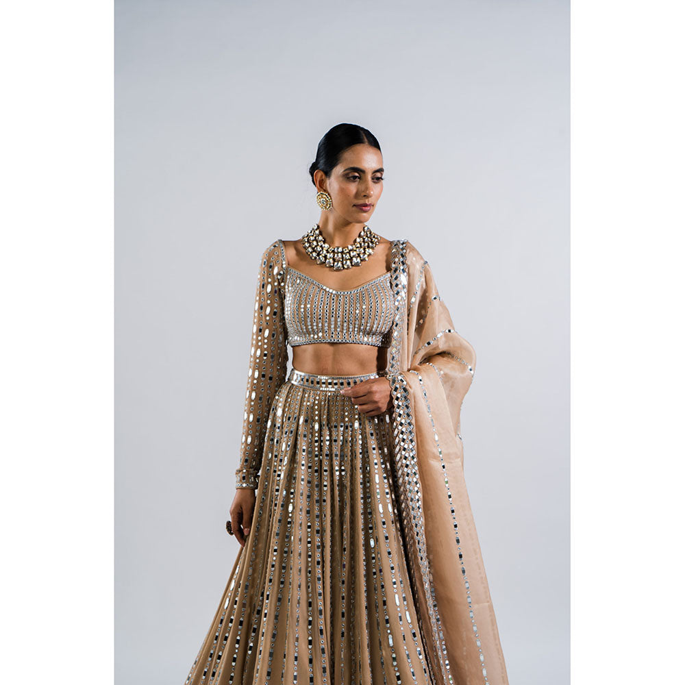 Vvani by Vani Vats Beige Linear Drop Blouse with Lehenga & Dupatta (Set of 3)
