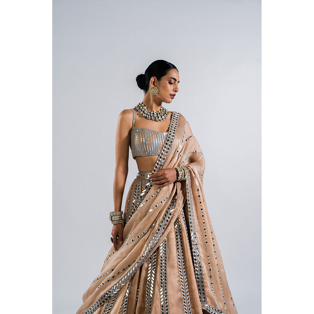 Vvani by Vani Vats Beige Mirror Seam Blouse with Lehenga & Dupatta (Set of 3)