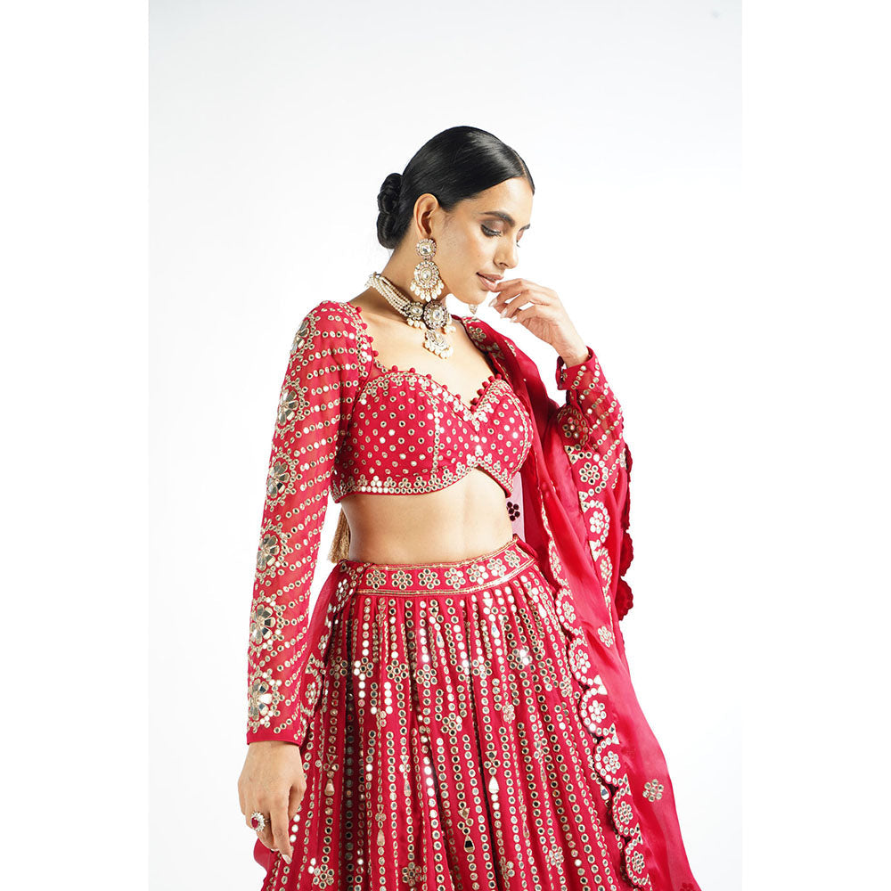 Vvani by Vani Vats Crimson Red Small Flower Linear Blouse with Lehenga & Dupatta (Set of 3)