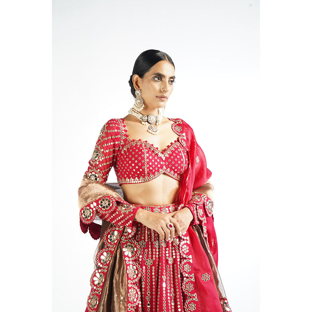 Vvani by Vani Vats Mellow Pink Small Flower Lehenga with Blouse & 2 Dupatta's (Set of 4)