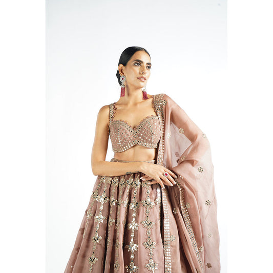 Vvani by Vani Vats Deep Beige Chandelier Drop Blouse with Lehenga & Dupatta (Set of 3)