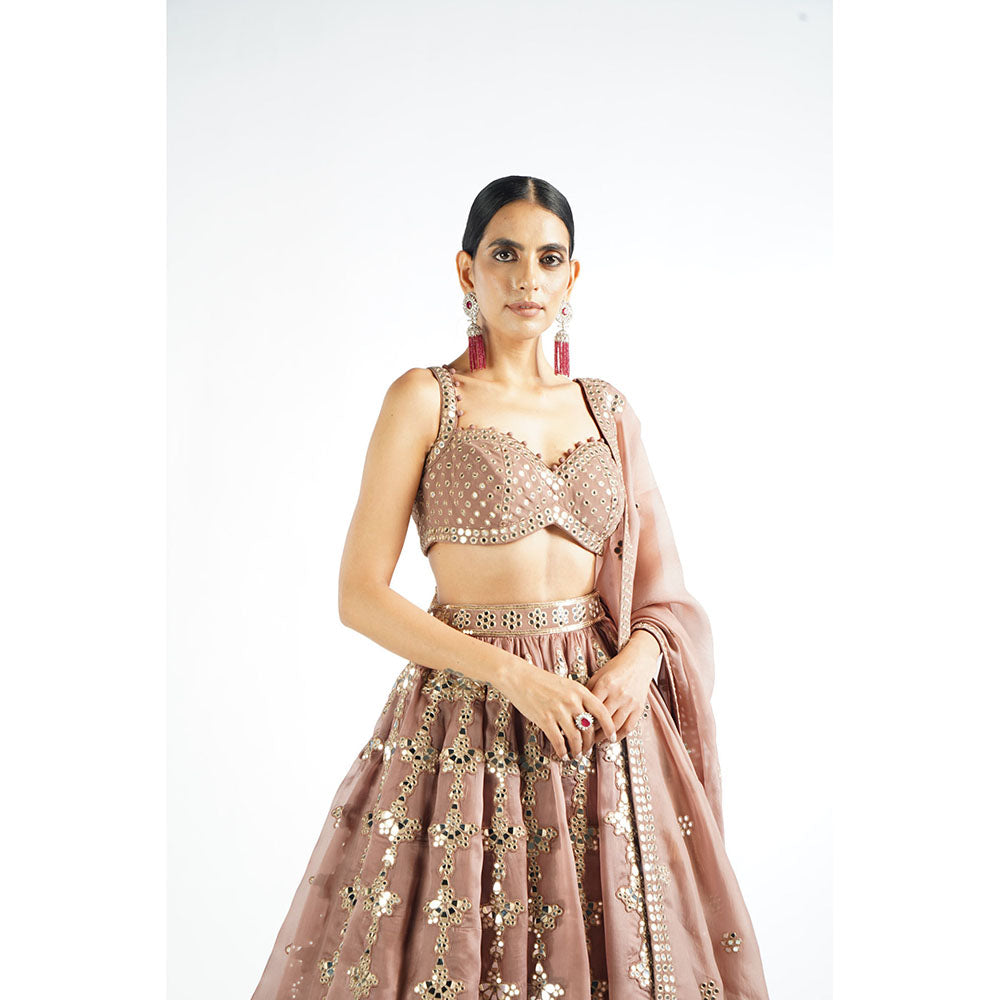 Vvani by Vani Vats Deep Beige Chandelier Drop Blouse with Lehenga & Dupatta (Set of 3)