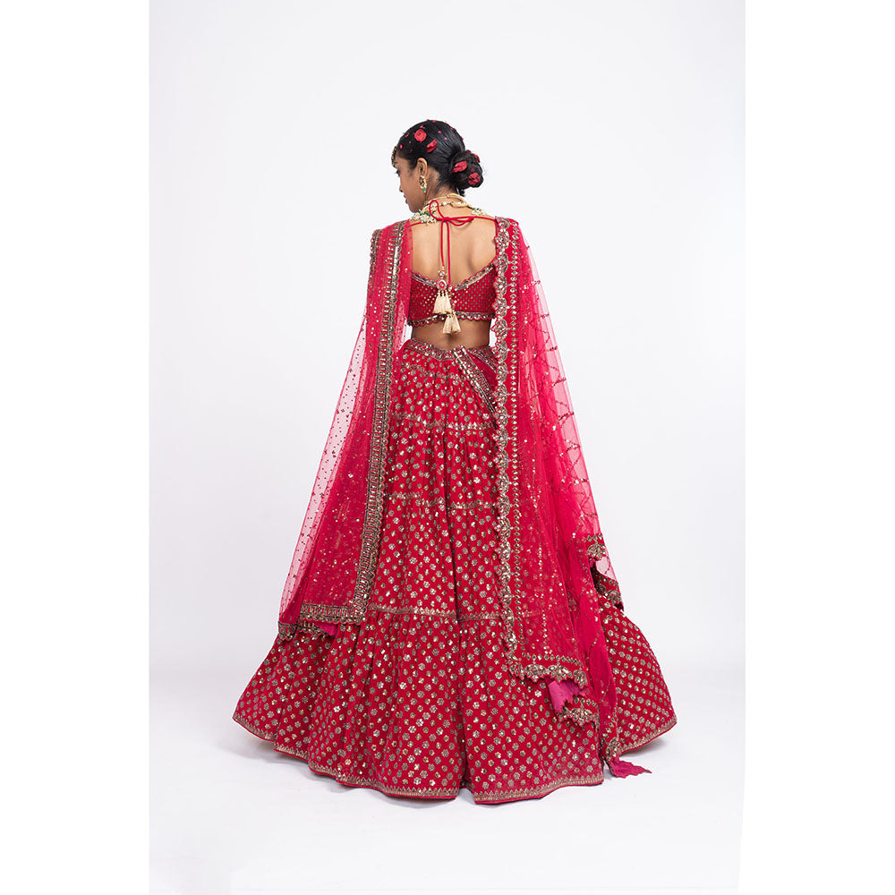 Vvani by Vani Vats Red Floral Blouse with Lehenga & Dupatta (Set of 3)