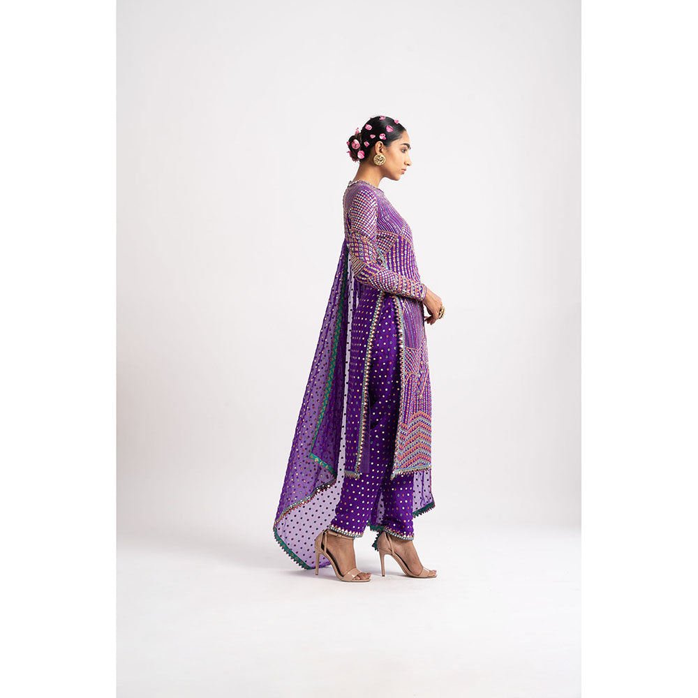 Vvani by Vani Vats Purple Multi Embroidery Round Neck Kurta & Pant with Dupatta (Set of 3)