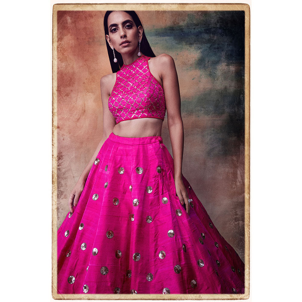 Vvani by Vani Vats Hot Pink Crop Top & Skirt (Set of 2)