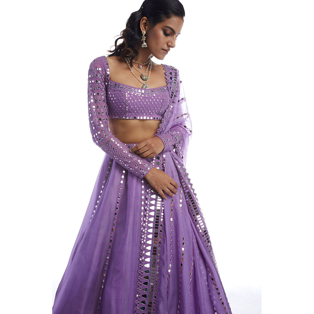 Vvani by Vani Vats Catnip Purple Blouse with Lehenga & Dupatta (Set of 3)
