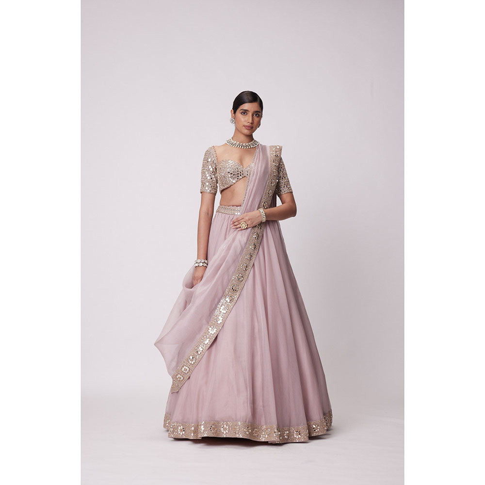 Vvani by Vani Vats Pink Lehenga with Blouse and Dupatta (Set of 3)