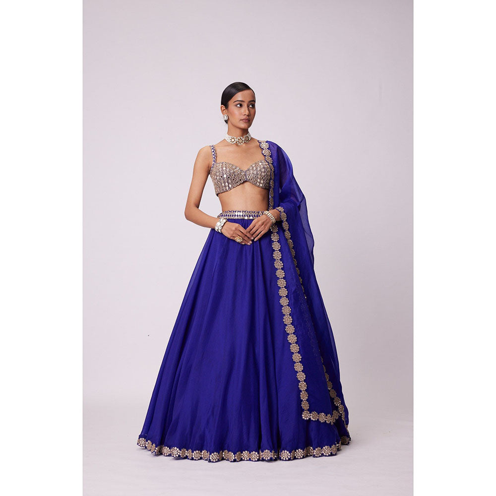 Vvani by Vani Vats Blue Lehenga with Blouse and Dupatta (Set of 3)