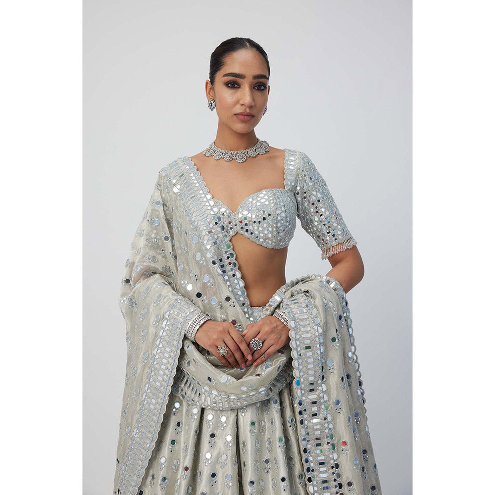 Vvani by Vani Vats Silver Shimmer Organza Lehenga with Blouse and Dupatta (Set of 3)