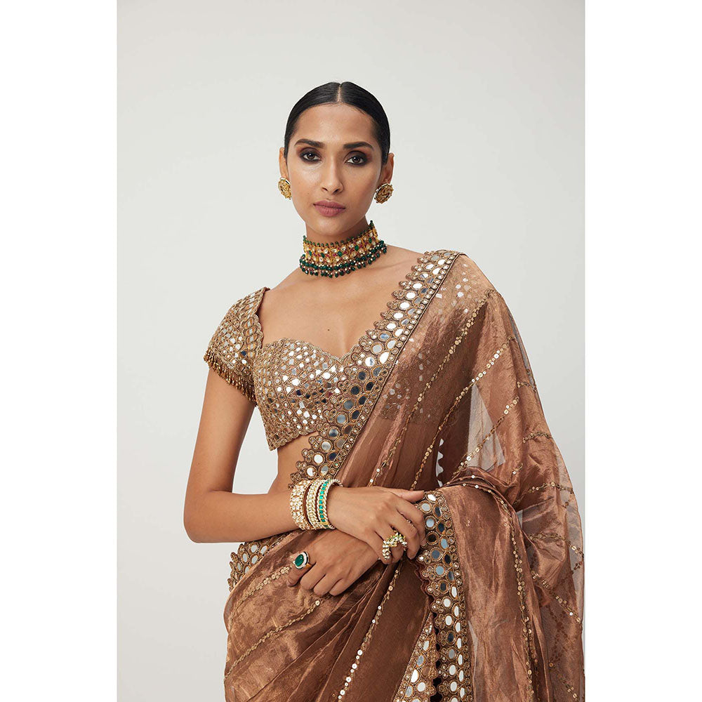 Vvani by Vani Vats Copper Shimmer Organza Saree with Stitched Blouse