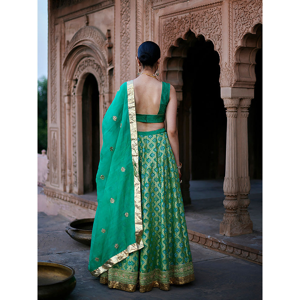 WeaverStory Green Georgette Banarasi Bandhej Lehenga Skirt with Choli and Dupatta (Set of 3)