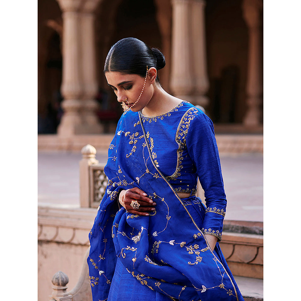 WeaverStory Blue Banarasi Lehenga with Raw Silk Choli and Hand Organza Dupatta (Set of 3)