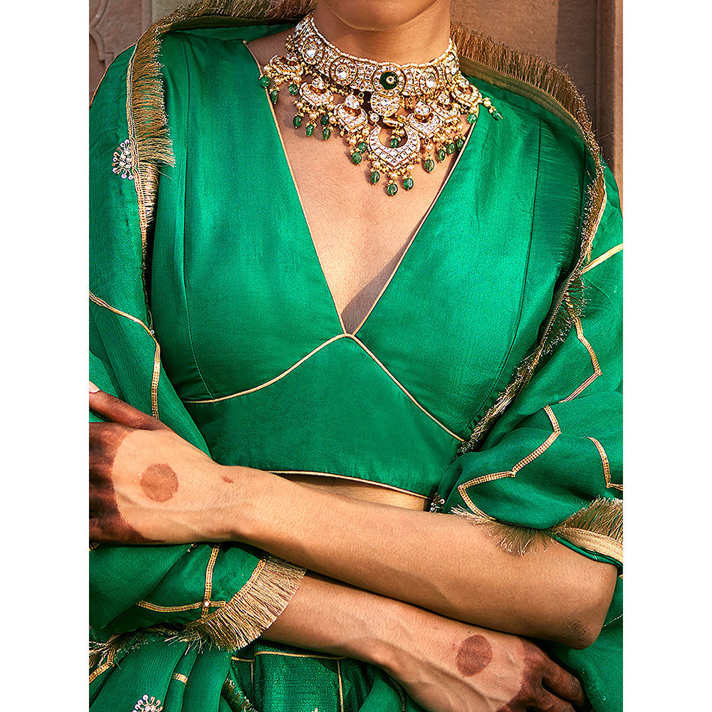 WeaverStory Verdian Green Banarasi Lehenga with Pure Silk Choli and Organza Dupatta (Set of 3)