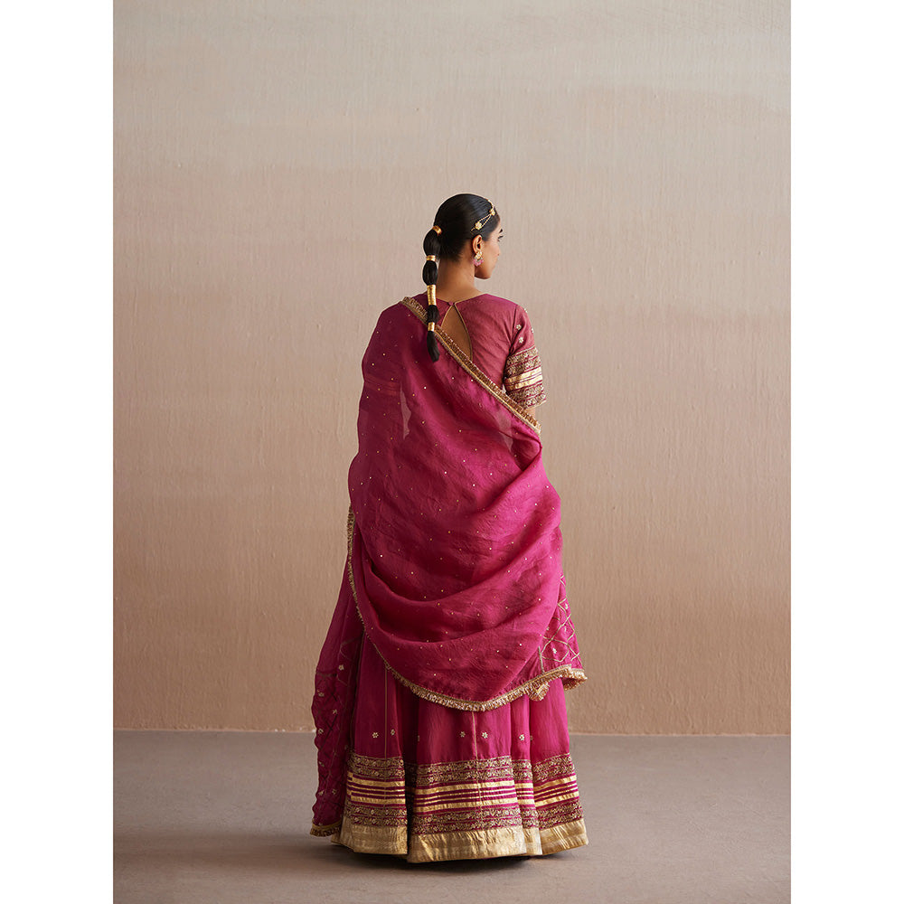 WeaverStory Mastani Rani Pink Cotton Tissue Choli with Lehenga (Set of 2)