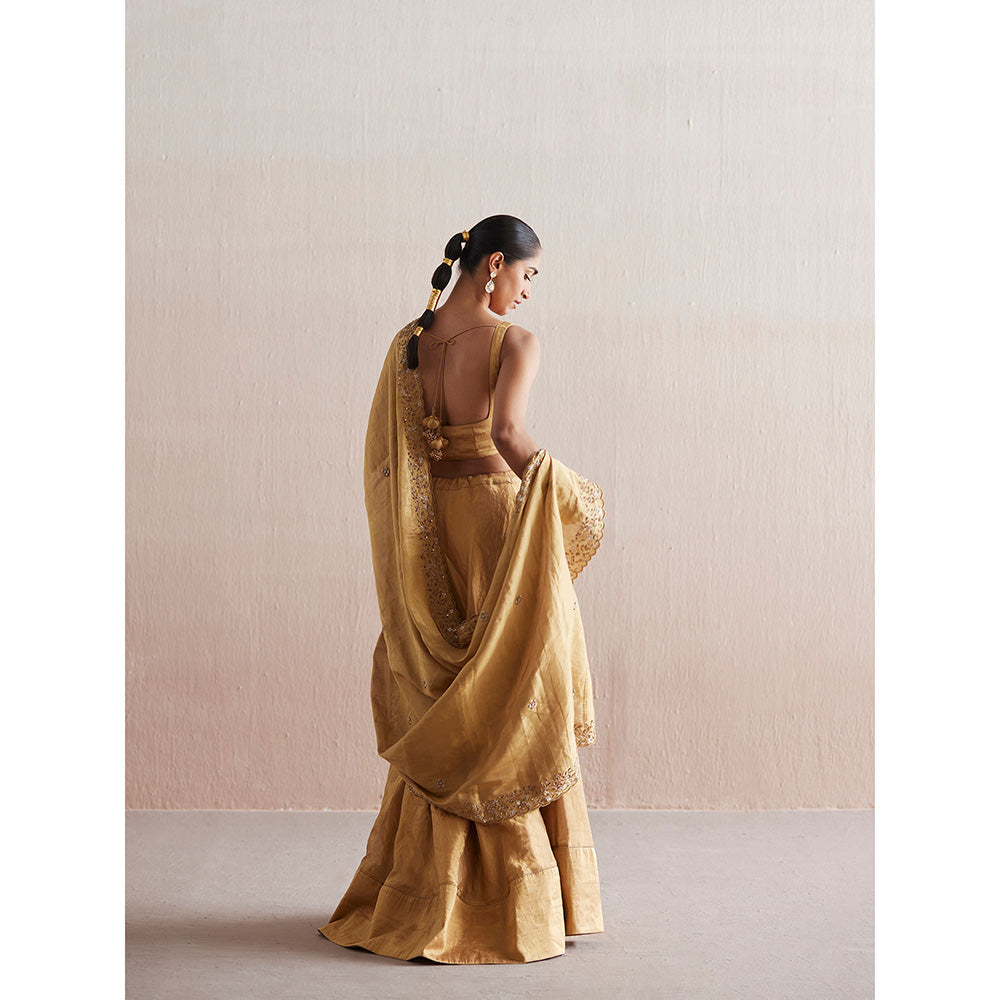 WeaverStory Mastani Gold Tissue Choli with Lehenga and Tissue Dupatta (Set of 3)