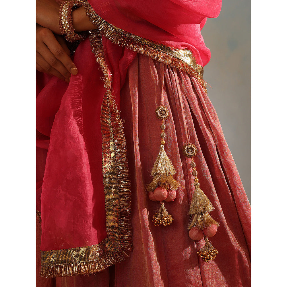 WeaverStory Pink Tissue Silk Lehenga with Choli and Organza Dupatta (Set of 3)