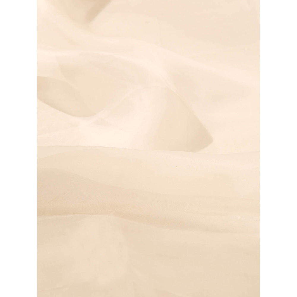WeaverStory Off white Pure Organza Saree with Unstitched Blouse