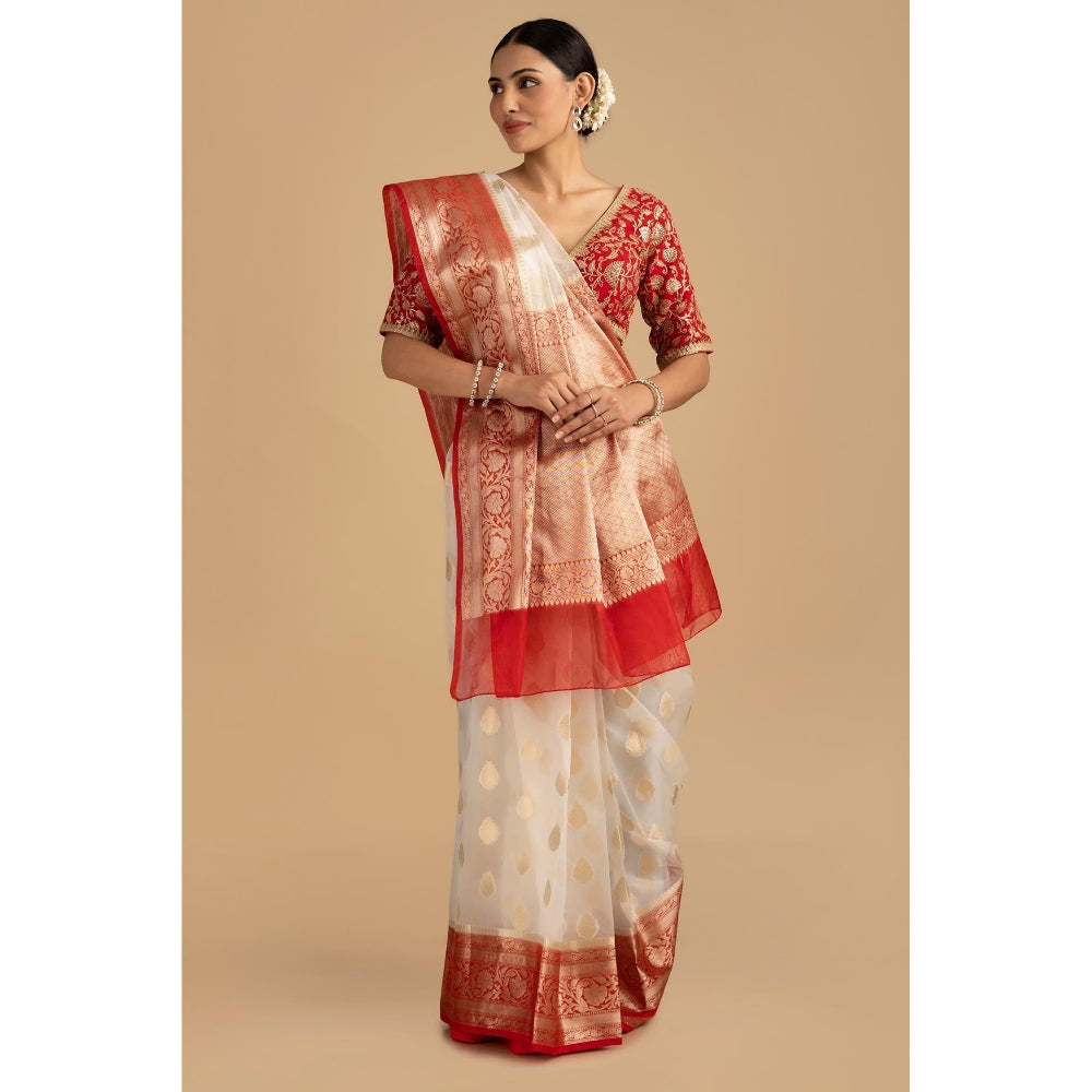 Zal from Benaras Red Kora Organza Silk Banarasi Handloom Saree without Blouse