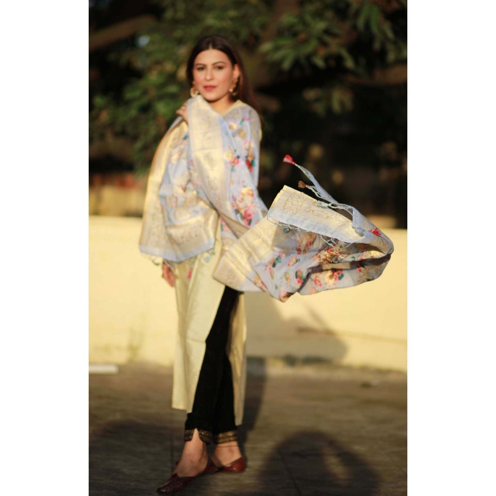 Zal from Benaras Blue Pure Silk Banarasi Handloom Dupatta