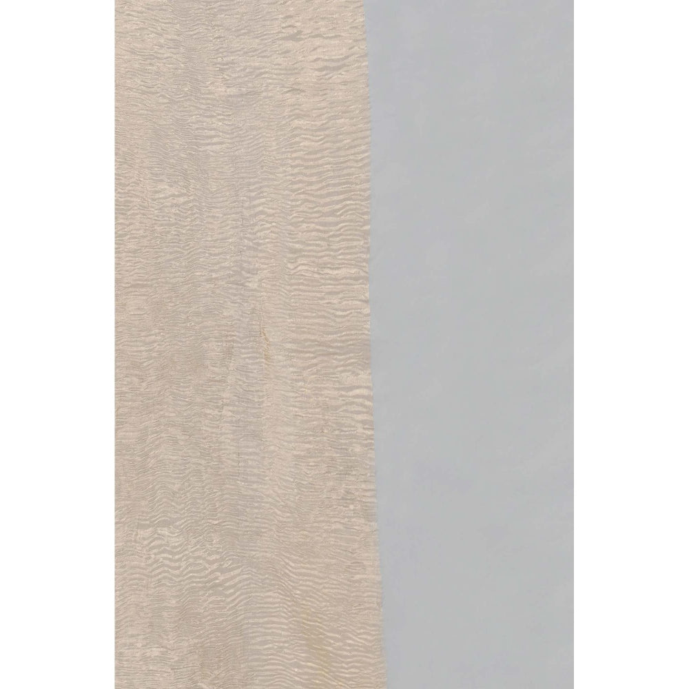 Zal from Benaras Blue Pure Crushed Tissue Silk Banarasi Handloom Dupatta