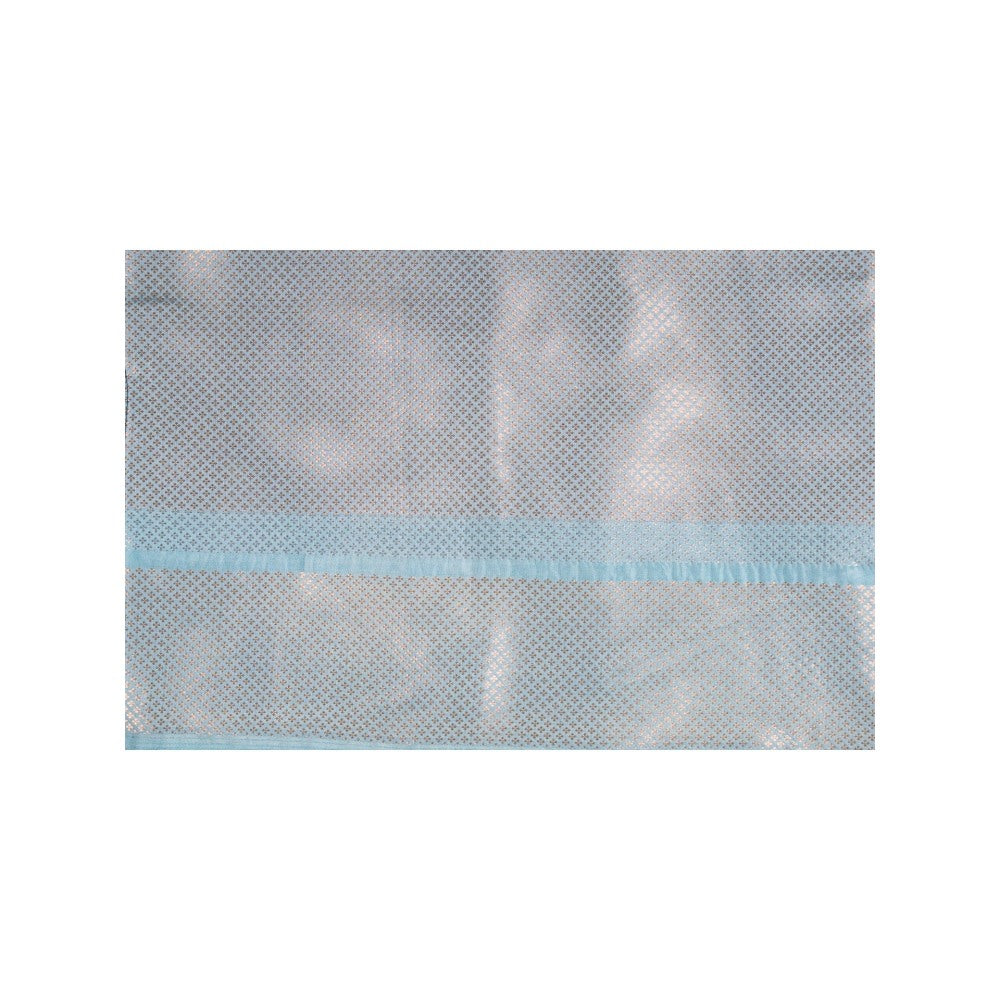 Zal from Benaras Sky Blue Pure Silk Banarasi Handloom Saree without Blouse Piece